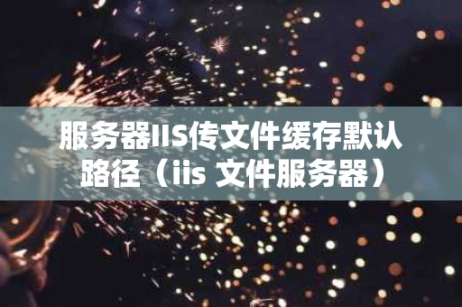服务器IIS传文件缓存默认路径（iis 文件服务器）