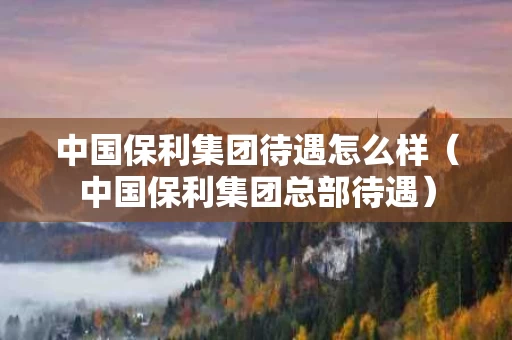中国保利集团待遇怎么样（中国保利集团总部待遇）
