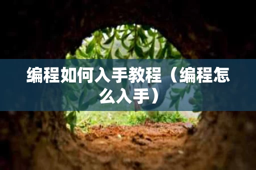 编程如何入手教程（编程怎么入手）