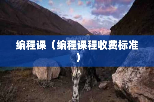 编程课（编程课程收费标准）