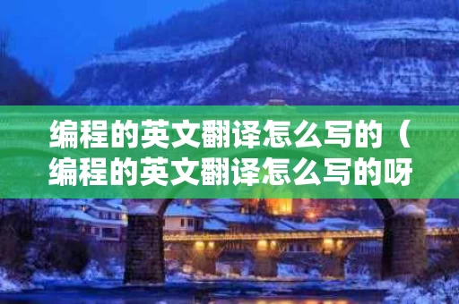 编程的英文翻译怎么写的（编程的英文翻译怎么写的呀）