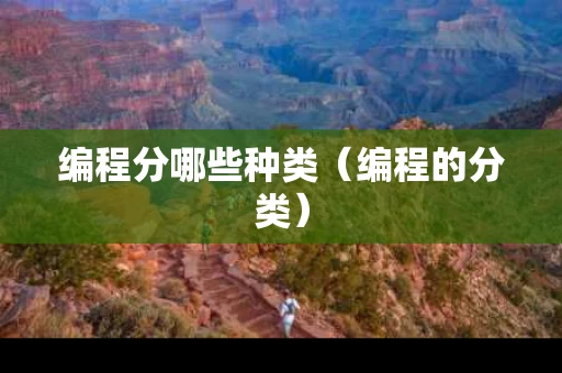 编程分哪些种类（编程的分类）
