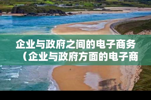 企业与政府之间的电子商务（企业与政府方面的电子商务）