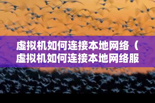 虚拟机如何连接本地网络（虚拟机如何连接本地网络服务器）