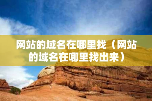 网站的域名在哪里找（网站的域名在哪里找出来）