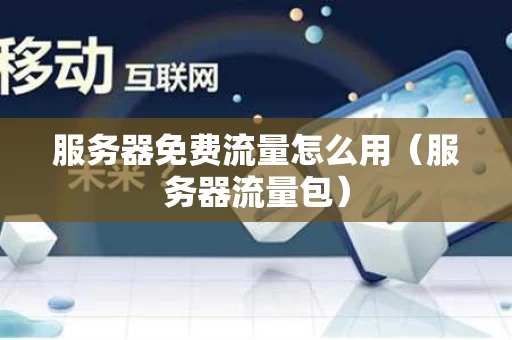 服务器免费流量怎么用（服务器流量包）