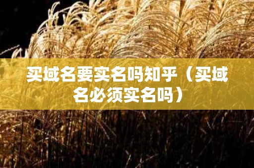 买域名要实名吗知乎（买域名必须实名吗）