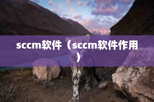sccm软件（sccm软件作用）