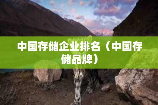 中国存储企业排名（中国存储品牌）