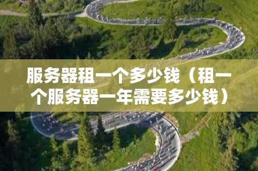 服务器租一个多少钱（租一个服务器一年需要多少钱）
