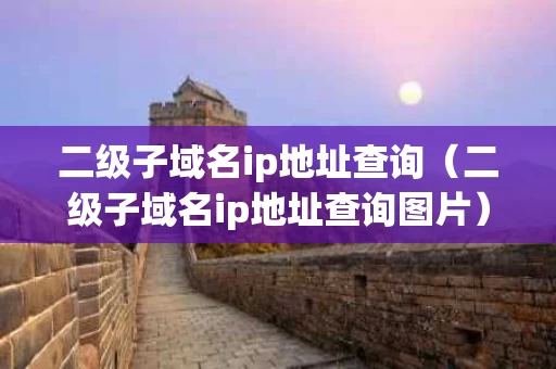 二级子域名ip地址查询（二级子域名ip地址查询图片）