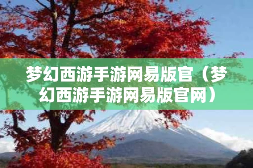 梦幻西游手游网易版官（梦幻西游手游网易版官网）