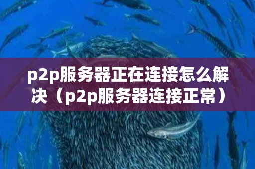 p2p服务器正在连接怎么解决（p2p服务器连接正常）