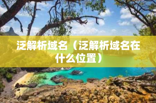 泛解析域名（泛解析域名在什么位置）