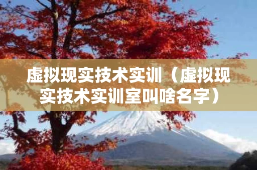 虚拟现实技术实训（虚拟现实技术实训室叫啥名字）