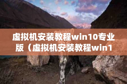 虚拟机安装教程win10专业版（虚拟机安装教程win10ghost）