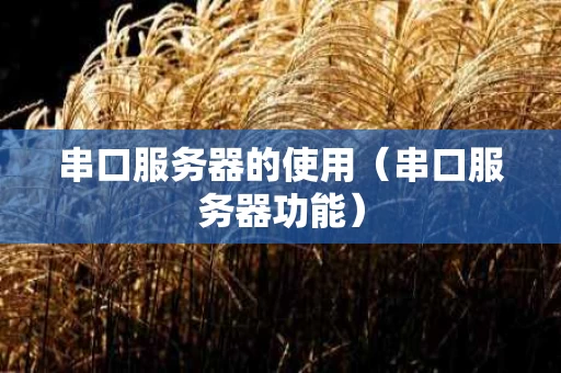 串口服务器的使用（串口服务器功能）