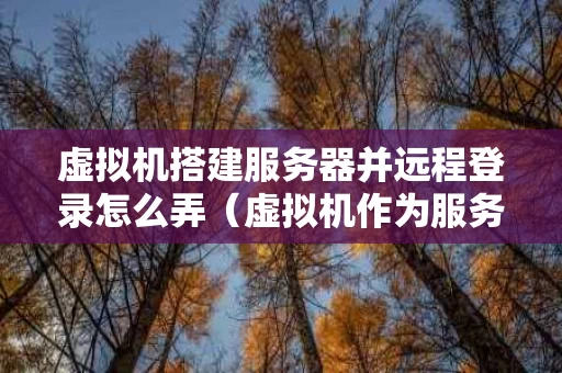 虚拟机搭建服务器并远程登录怎么弄（虚拟机作为服务器教程）