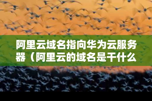 阿里云域名指向华为云服务器（阿里云的域名是干什么用的）