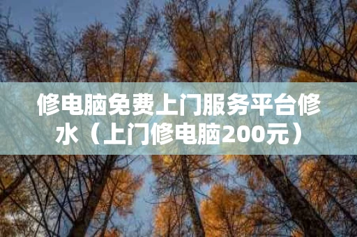 修电脑免费上门服务平台修水（上门修电脑200元）
