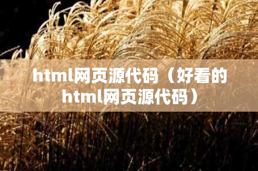 html网页源代码（好看的html网页源代码）