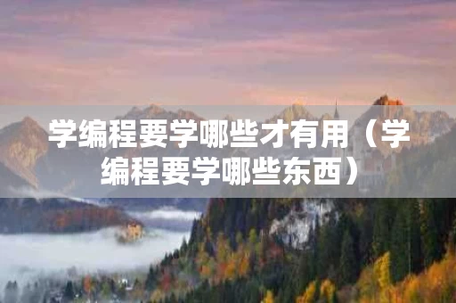 学编程要学哪些才有用（学编程要学哪些东西）
