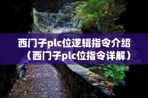 西门子plc位逻辑指令介绍（西门子plc位指令详解）