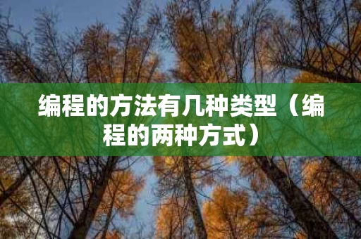 编程的方法有几种类型（编程的两种方式）