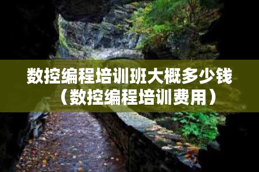 数控编程培训班大概多少钱（数控编程培训费用）