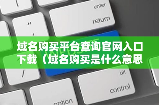 域名购买平台查询官网入口下载（域名购买是什么意思）