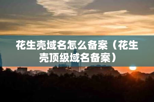 花生壳域名怎么备案（花生壳顶级域名备案）