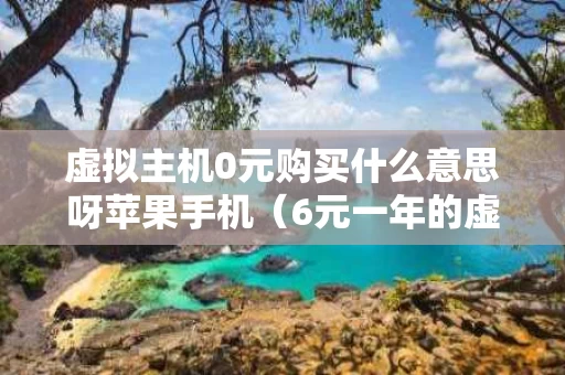 虚拟主机0元购买什么意思呀苹果手机（6元一年的虚拟主机）