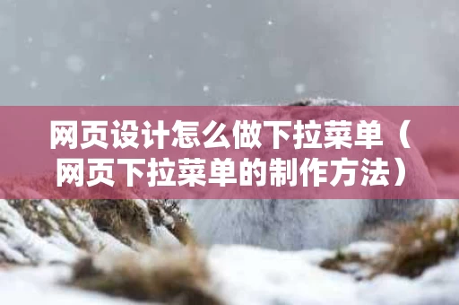 网页设计怎么做下拉菜单（网页下拉菜单的制作方法）