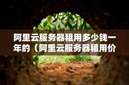 阿里云服务器租用多少钱一年的（阿里云服务器租用价格）