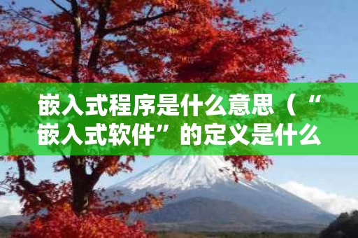 嵌入式程序是什么意思（“嵌入式软件”的定义是什么?什么时候应用?）