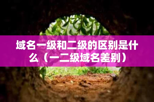 域名一级和二级的区别是什么（一二级域名差别）