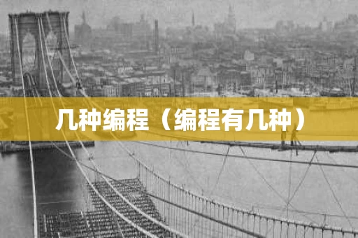 几种编程（编程有几种）
