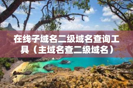 在线子域名二级域名查询工具（主域名查二级域名）