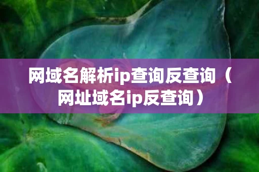 网域名解析ip查询反查询（网址域名ip反查询）