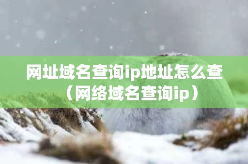 网址域名查询ip地址怎么查（网络域名查询ip）