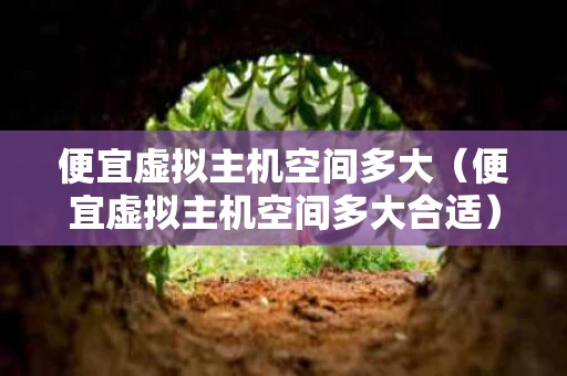 便宜虚拟主机空间多大（便宜虚拟主机空间多大合适）