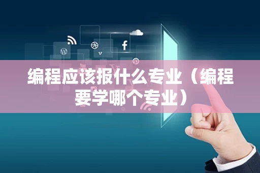 编程应该报什么专业（编程要学哪个专业）