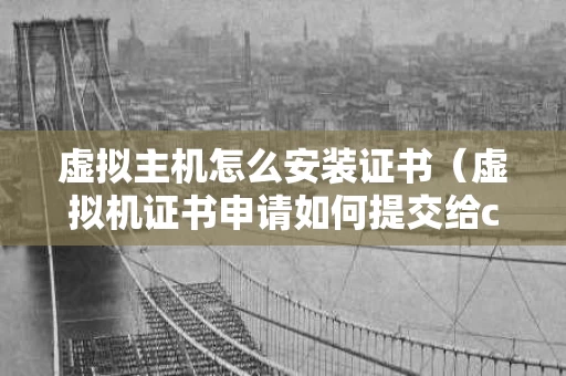 虚拟主机怎么安装证书（虚拟机证书申请如何提交给ca）