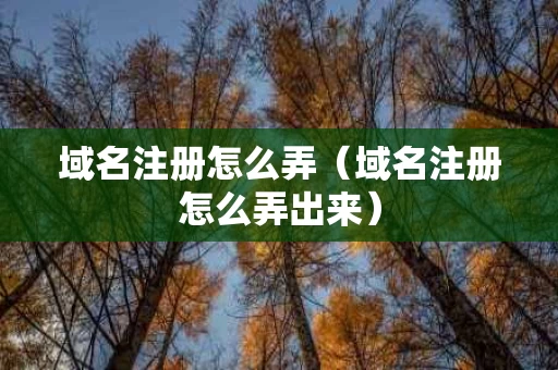 域名注册怎么弄（域名注册怎么弄出来）