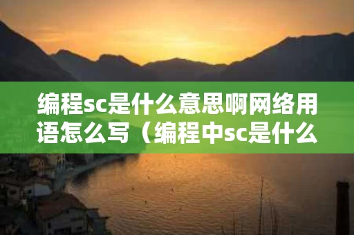 编程sc是什么意思啊网络用语怎么写（编程中sc是什么意思）