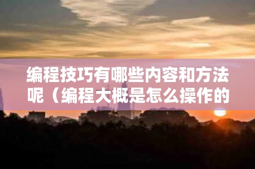 编程技巧有哪些内容和方法呢（编程大概是怎么操作的）