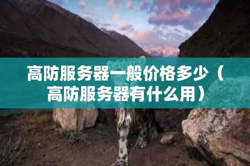 高防服务器一般价格多少（高防服务器有什么用）
