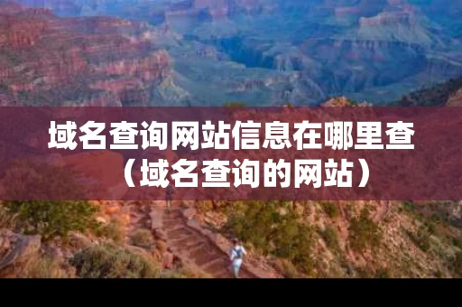 域名查询网站信息在哪里查（域名查询的网站）