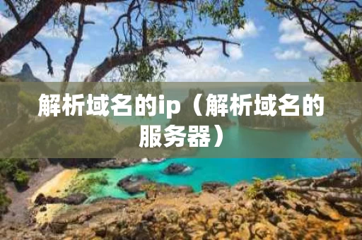 解析域名的ip（解析域名的服务器）