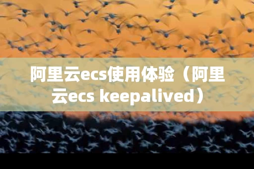 阿里云ecs使用体验（阿里云ecs keepalived）